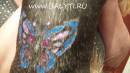   &raquo; Click to zoom ->