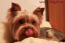   &raquo; Click to zoom ->