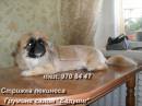   &raquo; Click to zoom ->